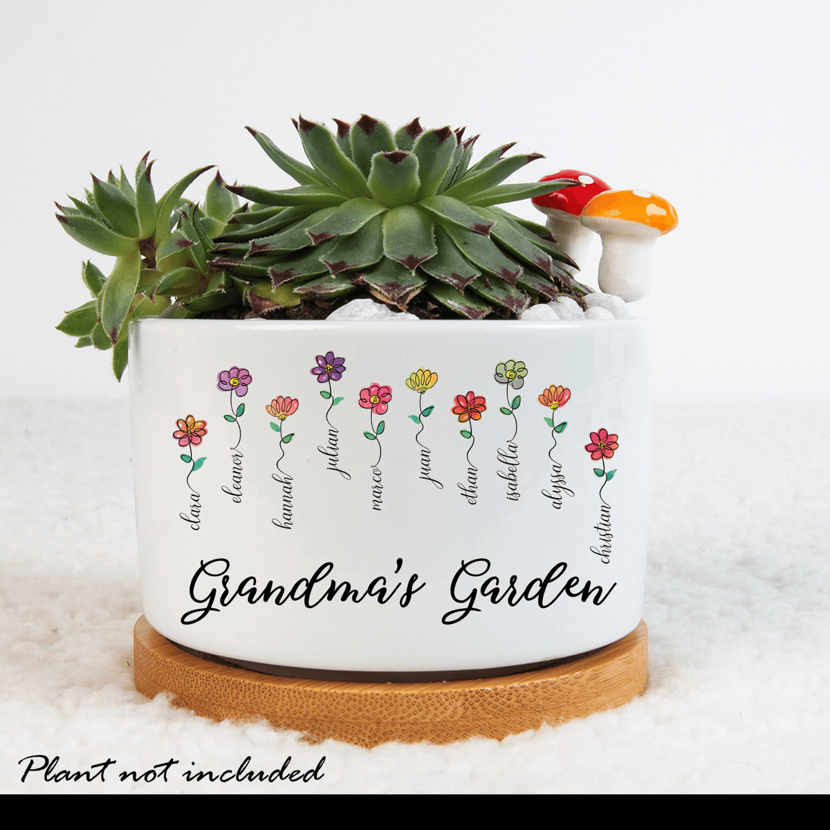 Personalized Grandma Mini Succulent Pot, Nana Mini Plant Pot With Kids Names, Grandma Mini Flower Plant Pot, Mini Desk Decor for Mothers Day
