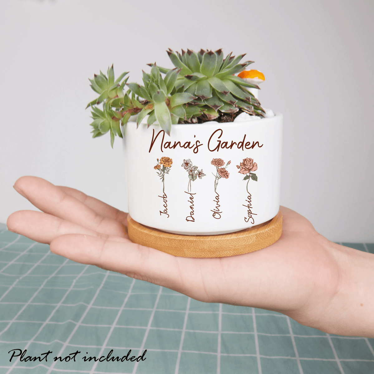 Grandma's Garden Plant Pot, Mimi's Garden Grandkids Flower Pot, Mimi Gardening Gifts, Grandma Gardening Gifts, Mini Garden Decor Plant Pot