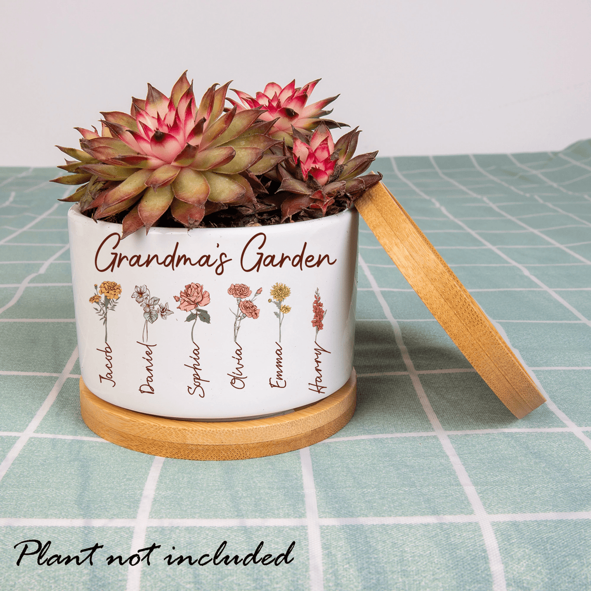 Grandma's Garden Plant Pot, Mimi's Garden Grandkids Flower Pot, Mimi Gardening Gifts, Grandma Gardening Gifts, Mini Garden Decor Plant Pot