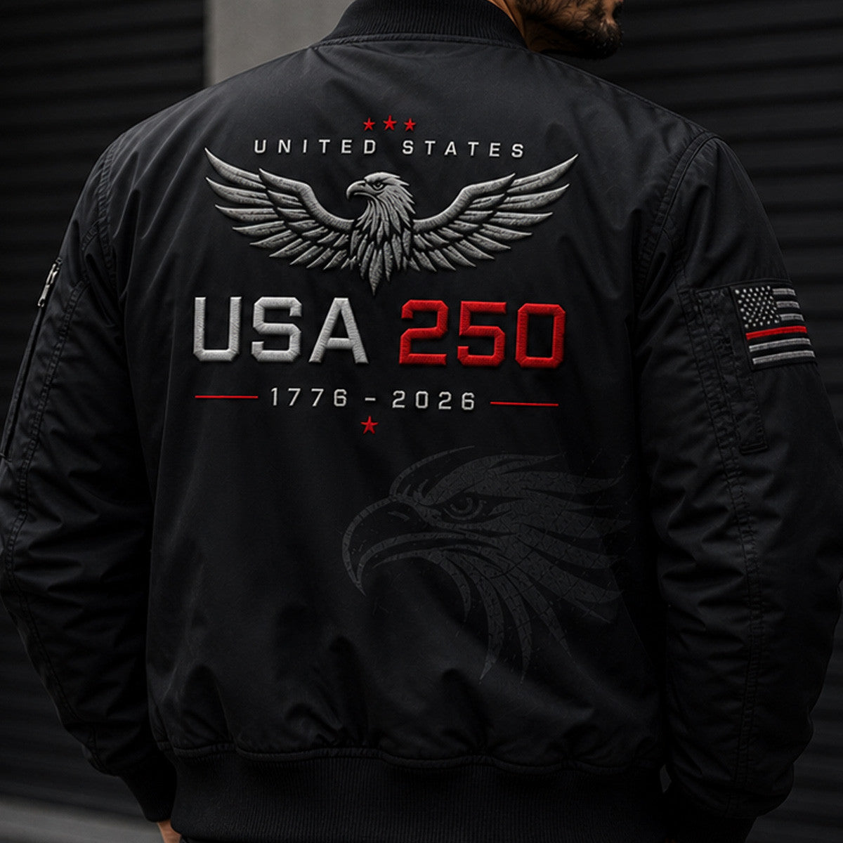 USA 250 Bald Eagle Printed Bomber Jacket, American Flag Patriotic Bomber Jacket, Father’s Day Gift for Dad, Veteran Dad Gift