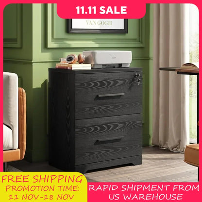 Office Filing Cabinet, 2 Drawers Wooden Side Filing Cabinet with Lock, Suitable for Office Space, Black Filing Cabinet