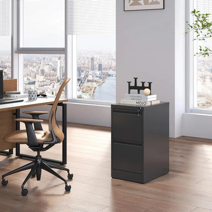 2 lockable drawer filing cabinets, metal upright filing cabinets for home offices, hanging legal/letter sized documents