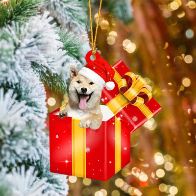 Personalized Dinosaur Custom Photo Funny Ornament - Perfect Christmas Gift for Kids