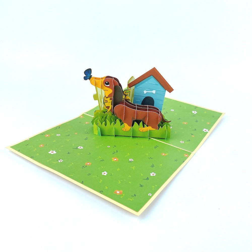 Funny Dachshund Pop up Card, Birthday 3D Card