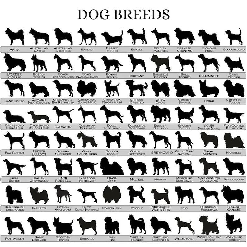 Labrador Retriever Suncatcher Ornament - You Are My Sunshine - Custom Dogs Name And Year - Gift For Dog Lover