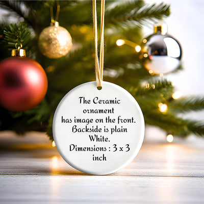 Christmas 2023 Ornament, Christmas Decoration, Holiday Gift Idea, Heirloom Keepsake, Round Ceramic, Gift Exchange, Gift Idea, Dragon Fly