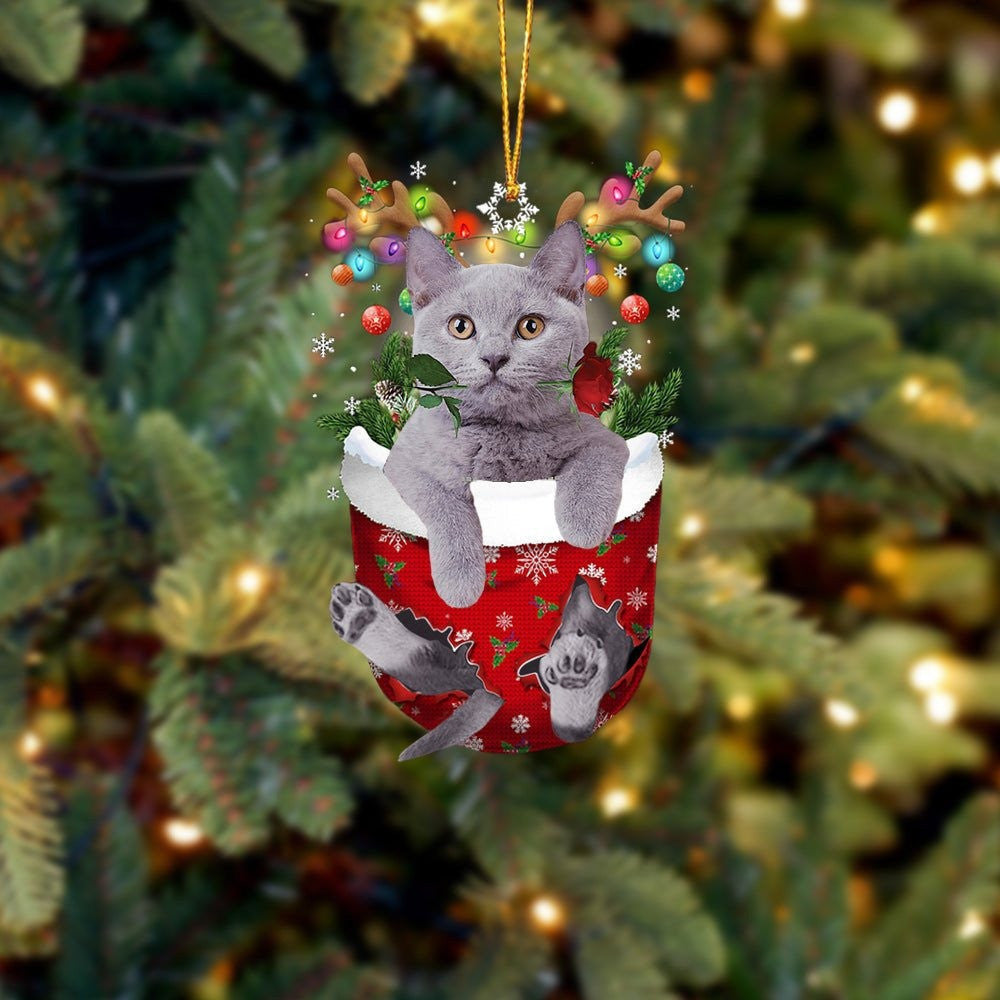 British Shorthair Snow Cat Ornament: Cute Flat Acrylic Christmas Ornament For Cat Lovers & Winter Enthusiasts. Perfect Holiday Gift For Friends & Family.