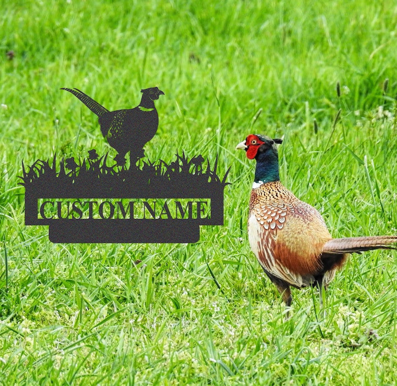 Pheasant Metal Sign, Personalized Pheasant Name Sign, Custom Pheasant Hunting Sign, Pheasant Wall Decor, Men Cave Sign, Hunter Gift for Dad