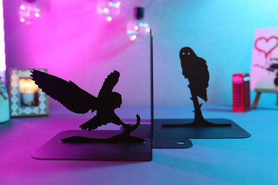Book Lover Gift Night Owl Bookends Unique Metal Art Birds Book End Wise Bird Home Steel Bookshelf Kids Room Decor Christmas Gift