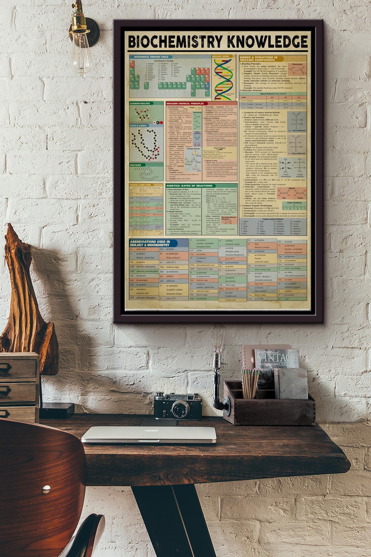 Biochemistry Knowledge Basic Information Poster - Chemical Wall Art - Gift For Scientist Biochemical Chemist Framed Matte Canvas Framed Prints, Canvas