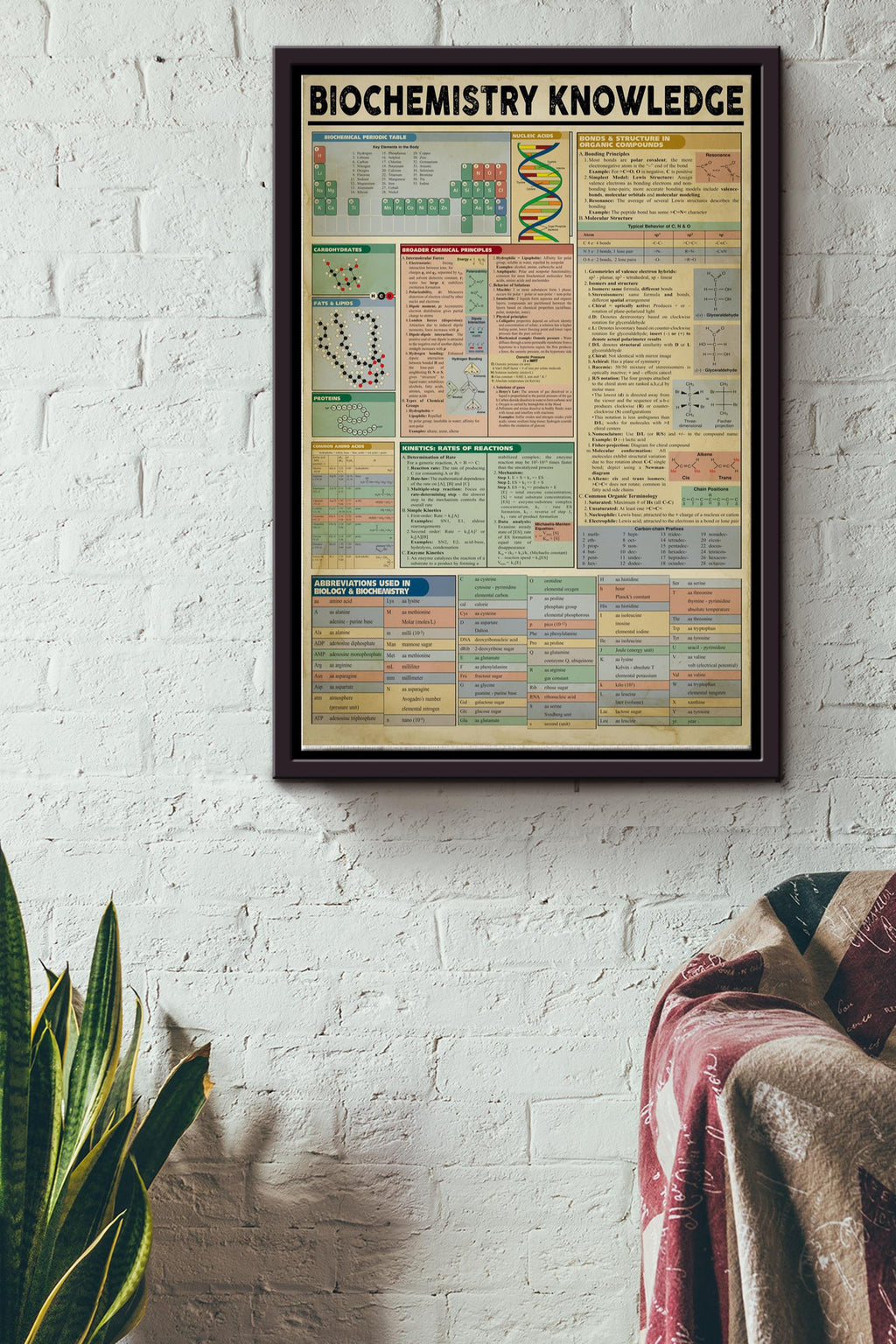 Biochemistry Knowledge Basic Information Poster - Chemical Wall Art - Gift For Scientist Biochemical Chemist Framed Matte Canvas Framed Prints, Canvas