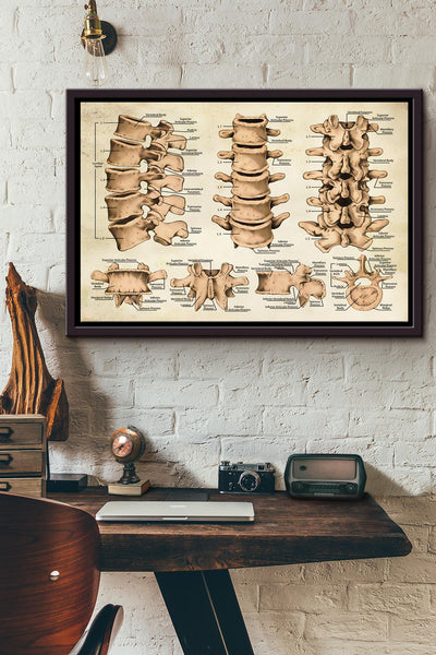 Chiropractor Spine Poster n Framed Matte Canvas