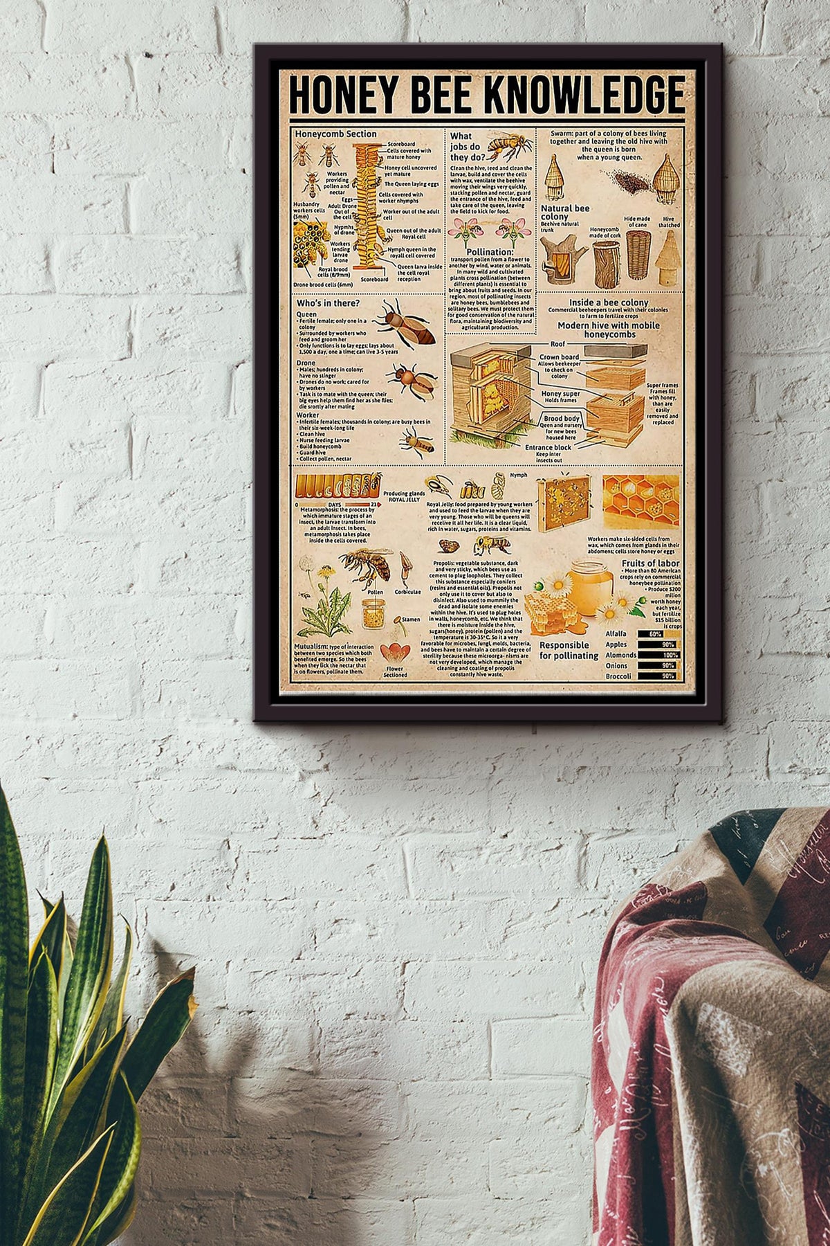 Honey Bees Knowledge Honey Basic Information Poster - Bee Knowledge Wall Art - Gift For Biologist Gardener Beekeeper Framed Matte Canvas Framed Prints, Canvas