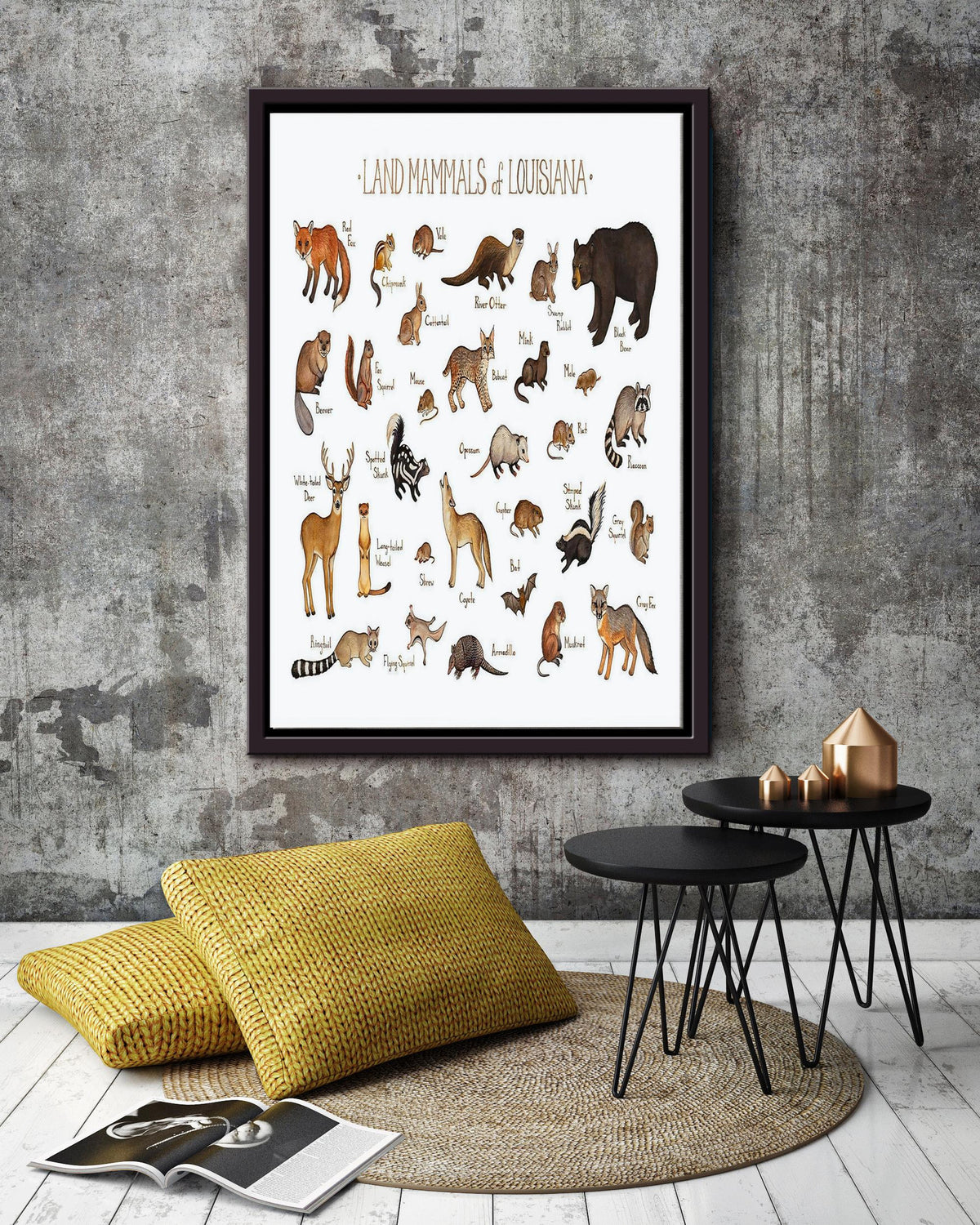Land Mamals Of Louisiana Animal Knowledge For Homeschool Nusery Kids Bedroom Decor Framed Canvas