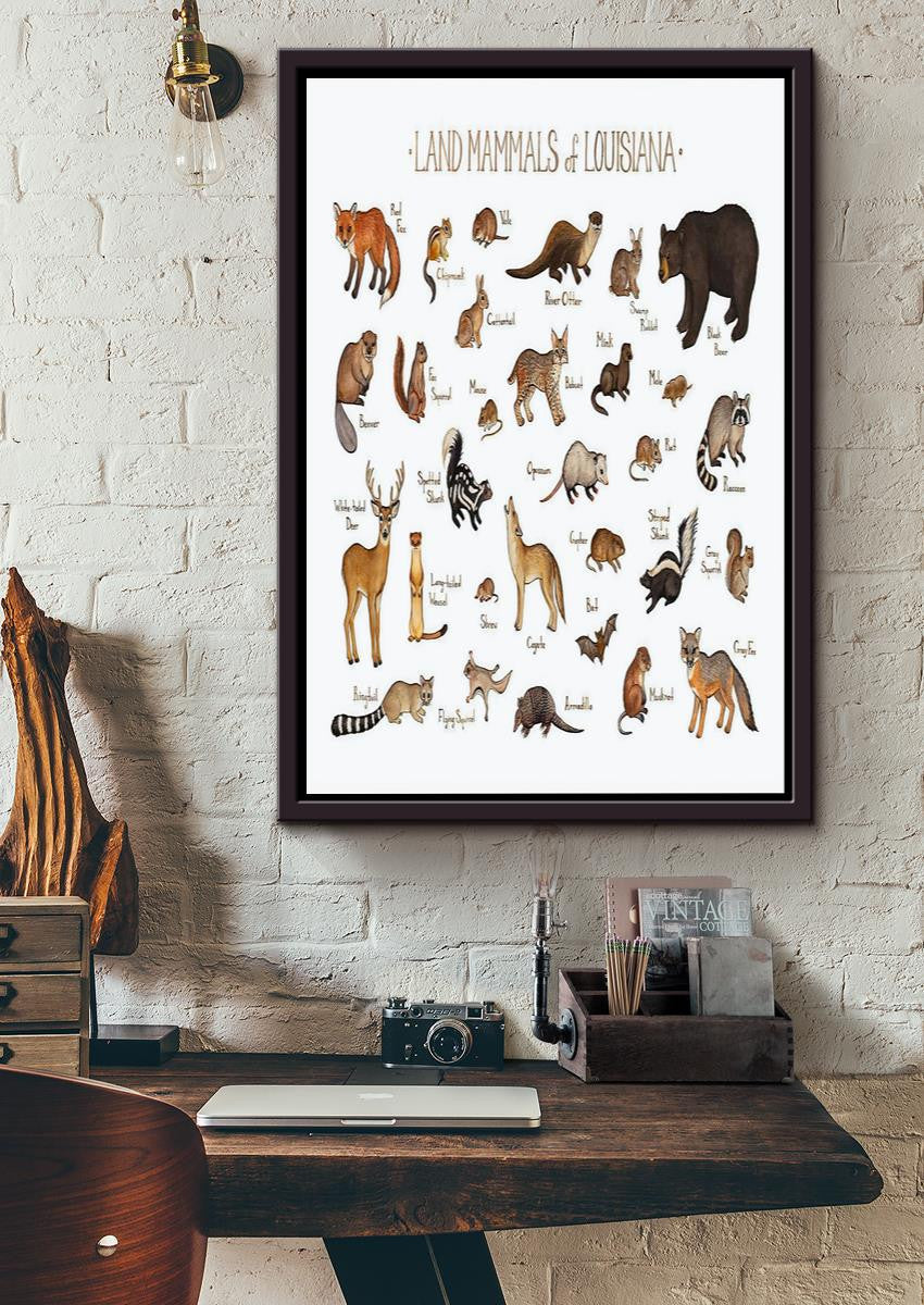 Land Mamals Of Louisiana Animal Knowledge For Homeschool Nusery Kids Bedroom Decor Framed Canvas