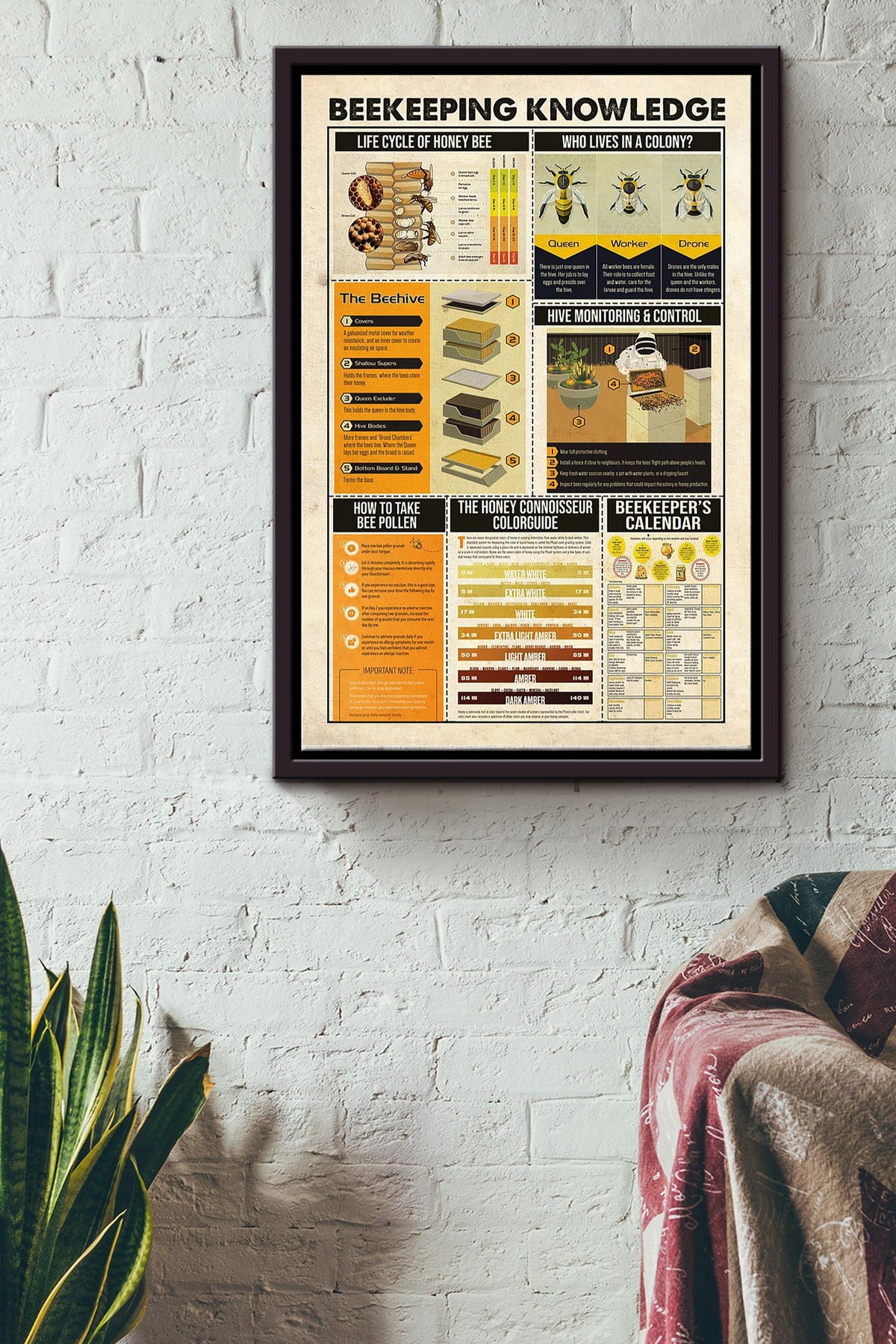 Bee Keeping Knowledge Poster Framed Matte Canvas