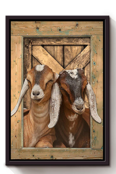 Goat In Barn View Gift For Famer Goat Lover Animals Framed Canvas