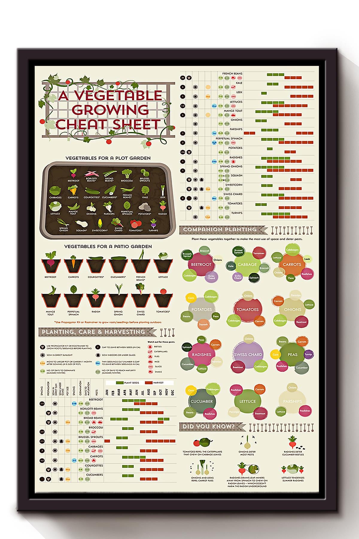 A Vegetable Growing Cheat Sheet Gardening Knowledge Wall Art For Gardener Farmer Farmhouse Decor Framed Matte Canvas Framed Prints, Canvas