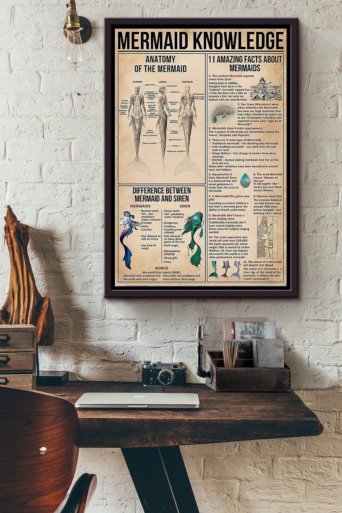 Mermaid Knowledge Anatomy Difference Amazing Facts Poster Sea Creature Knowledge Wall Art Canvas Gift For Girl Boy Scientist Mermaid Lover Sea Lover Fairy Tales Lover Framed Matte Canvas Framed Prints, Canvas