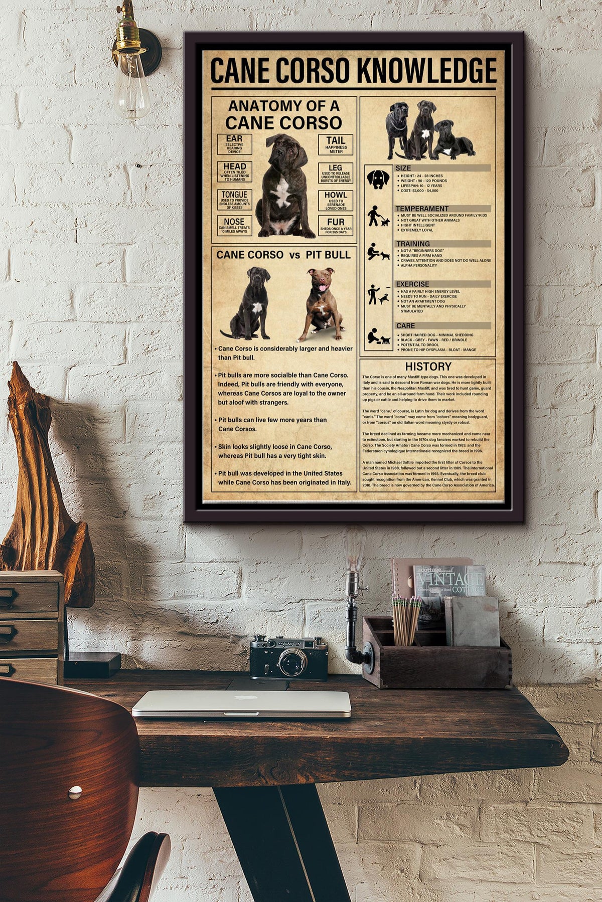 Cane Corso Knowledge Basic Information Poster - Animal Knowledge Wall Art - Gift For Dog Lover Dog Owner Biologist Framed Matte Canvas Framed Prints, Canvas