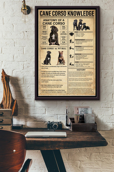 Cane Corso Knowledge Basic Information Poster - Animal Knowledge Wall Art - Gift For Dog Lover Dog Owner Biologist Framed Matte Canvas Framed Prints, Canvas