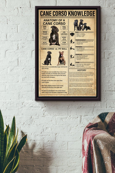 Cane Corso Knowledge Basic Information Poster - Animal Knowledge Wall Art - Gift For Dog Lover Dog Owner Biologist Framed Matte Canvas Framed Prints, Canvas