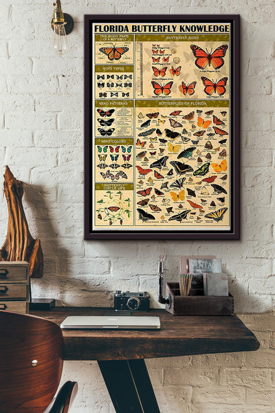 Florida Butterfly Knowledge Poster Framed Matte Canvas