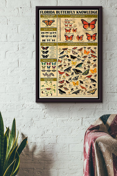 Florida Butterfly Knowledge Poster Framed Matte Canvas