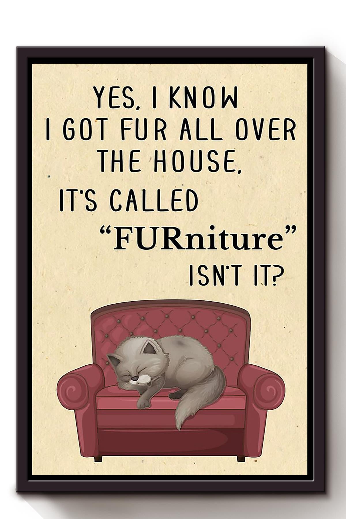 Cat Its Called Furniture Isnt It Animal Wall Art Gift For Cat Lover International Cat Day Kitten Foster Livingroom Decor Framed Canvas Framed Prints, Canvas