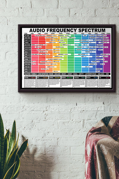 Audio Frequency Spectrum Poster n Framed Matte Canvas