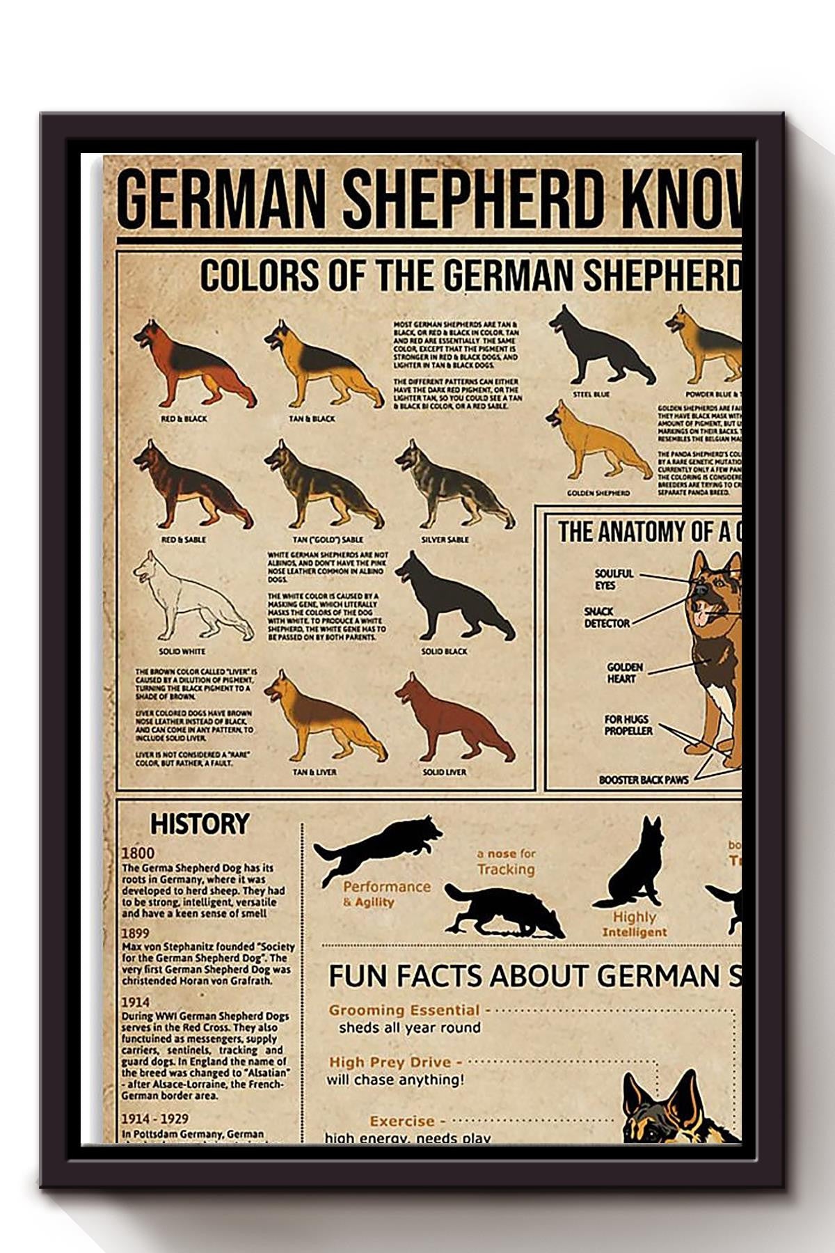 German Shepherd Facts Animal Knowledge For Homeschool Nusery Kids Bedroom Decor Framed Canvas