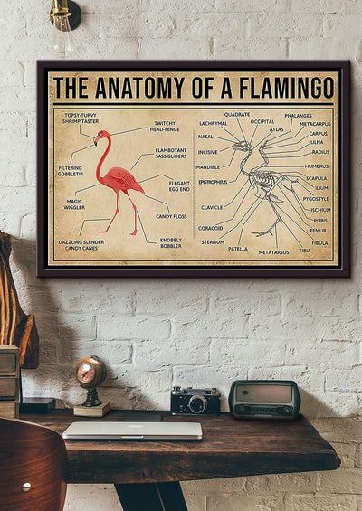 Falmingo Anatomy Drawing Knowledge Wall Art Gift For Artist Biologist Framed Prints, Canvas