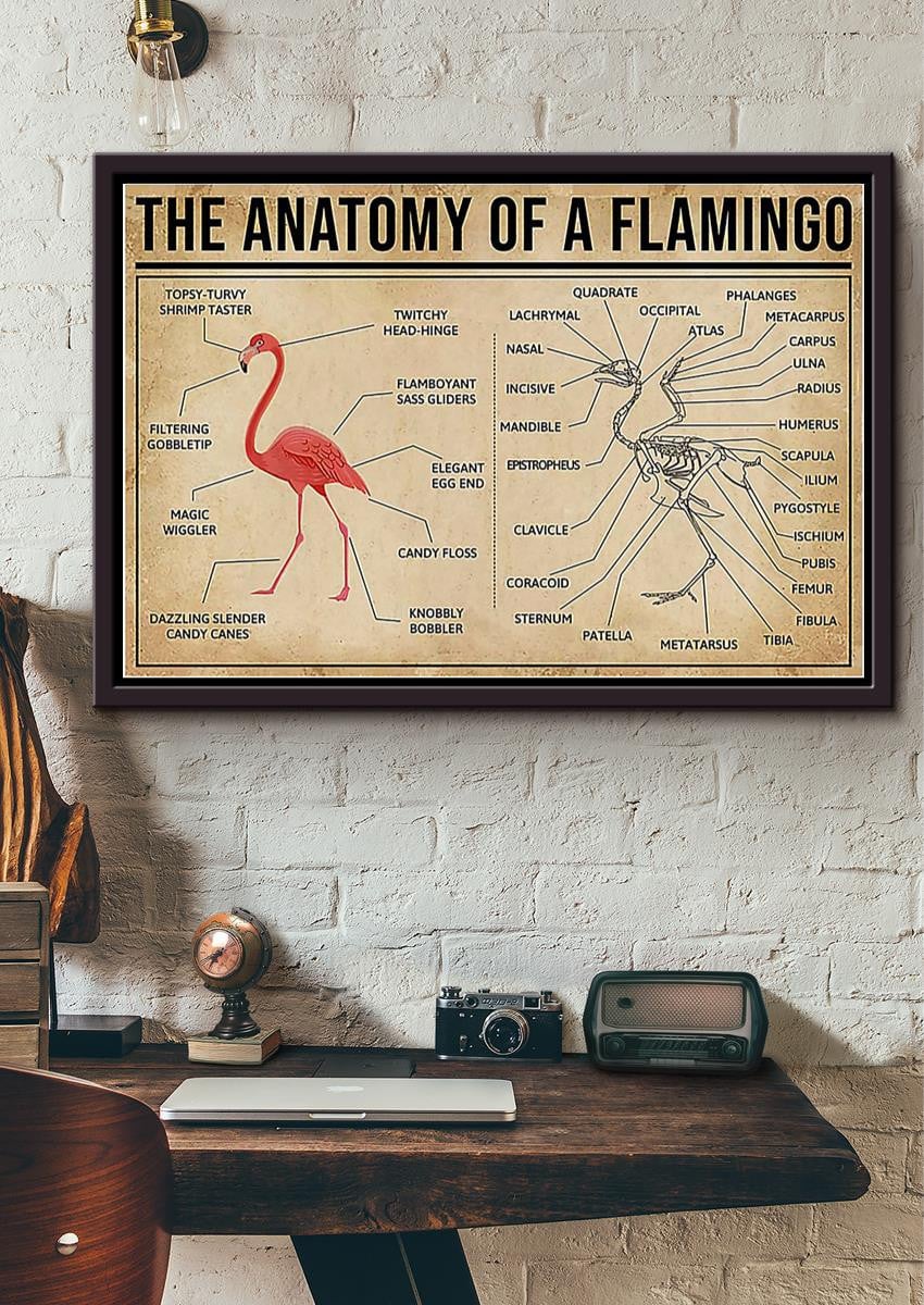 Falmingo Anatomy Drawing Knowledge Wall Art Gift For Artist Biologist Framed Prints, Canvas