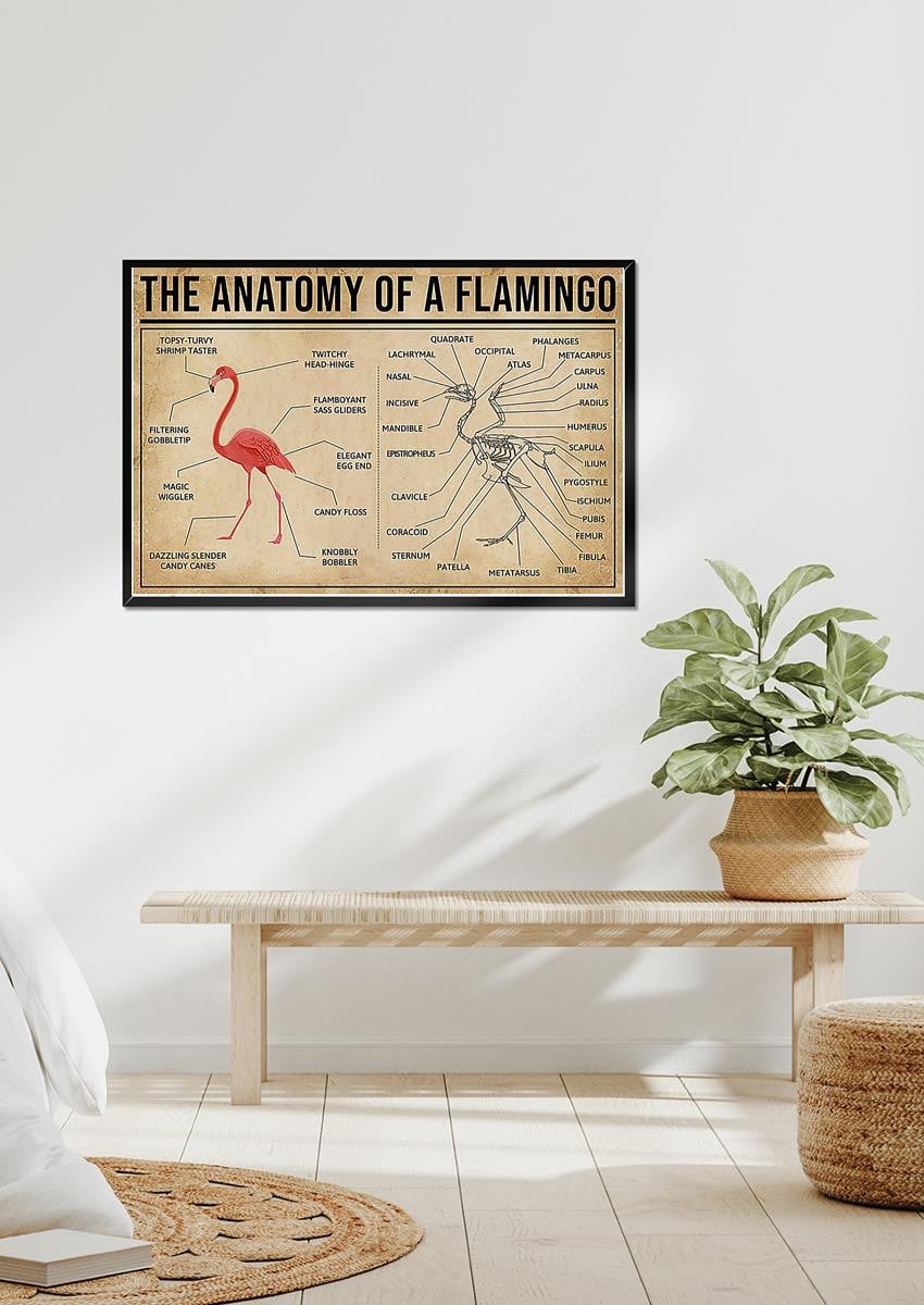 Falmingo Anatomy Drawing Knowledge Wall Art Gift For Artist Biologist Framed Prints, Canvas