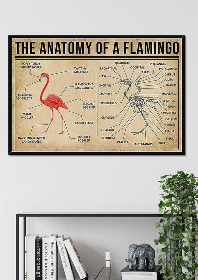 Falmingo Anatomy Drawing Knowledge Wall Art Gift For Artist Biologist Framed Prints, Canvas