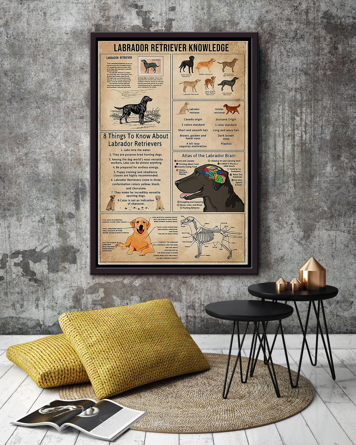 Labrador Retriever Facts Animal Knowledge For Homeschool Nusery Kids Bedroom Decor Framed Canvas