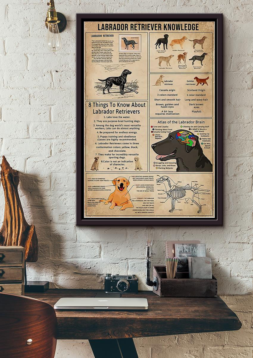 Labrador Retriever Facts Animal Knowledge For Homeschool Nusery Kids Bedroom Decor Framed Canvas