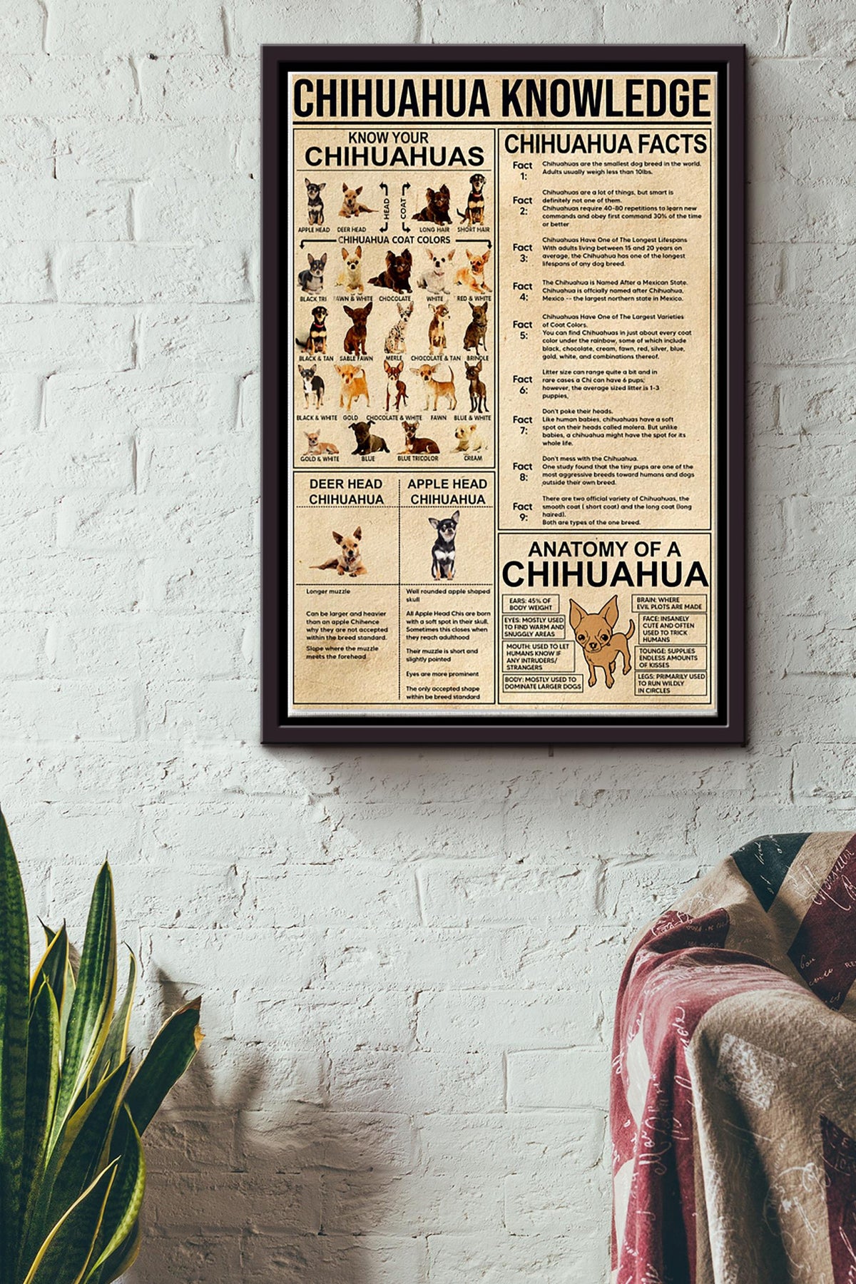 Know Your Chihuahua Chihuahua Knowledge Wall Decor Poster Framed Matte Canvas