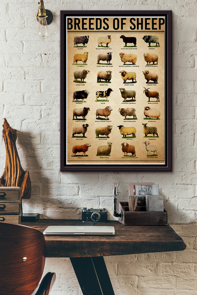 Breeds Of Sheep Farm Wall Decor Poster Framed Matte Canvas