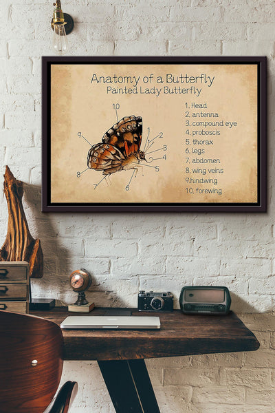 Butterfly Anatomy Of A Butterfly n Framed Matte Canvas