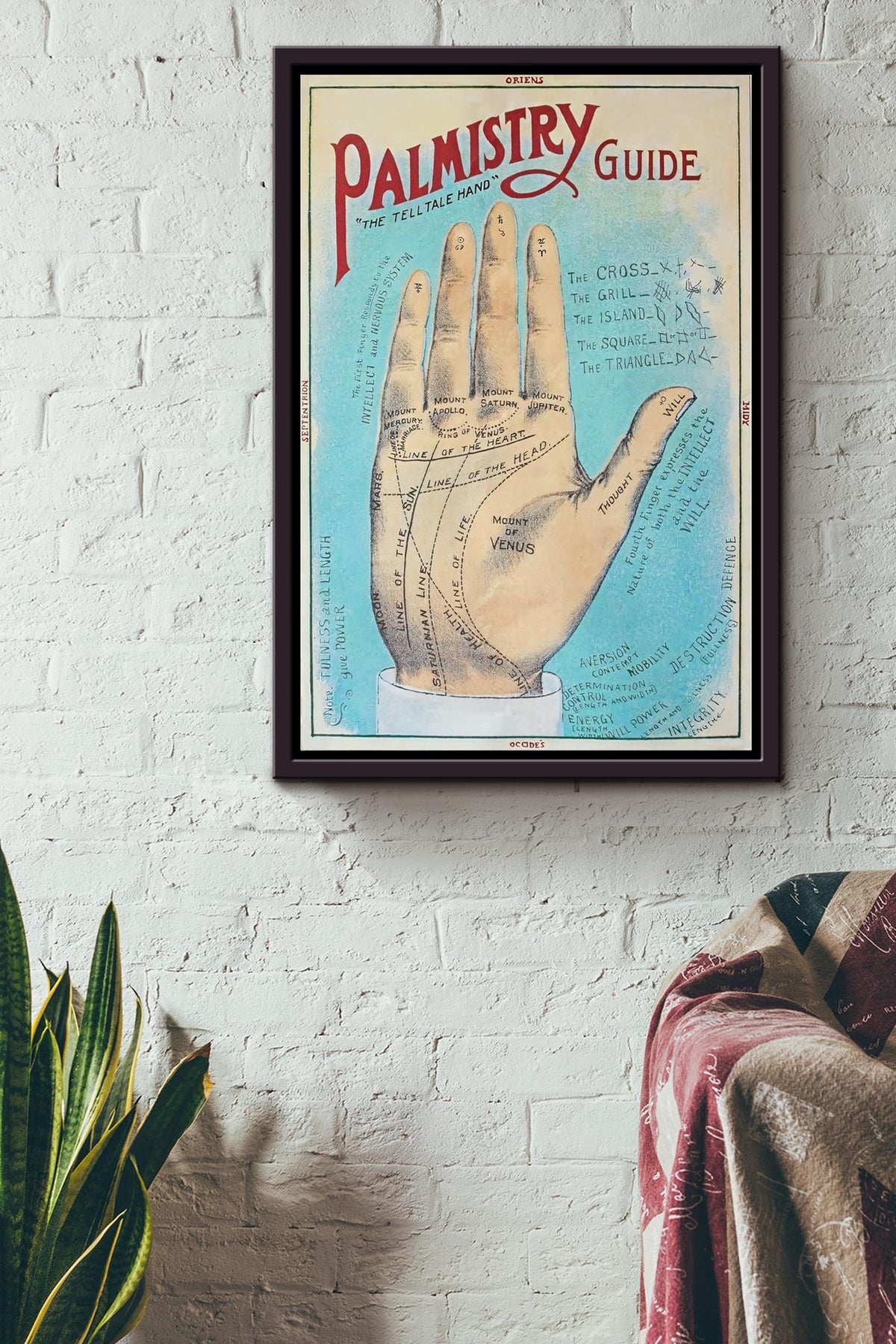 Palmistry Guide Science Wall Art Gift For Horoscope Viewer Framed Canvas Framed Prints, Canvas