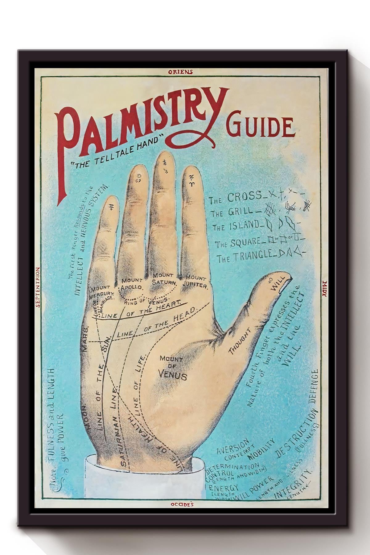 Palmistry Guide Science Wall Art Gift For Horoscope Viewer Framed Canvas Framed Prints, Canvas