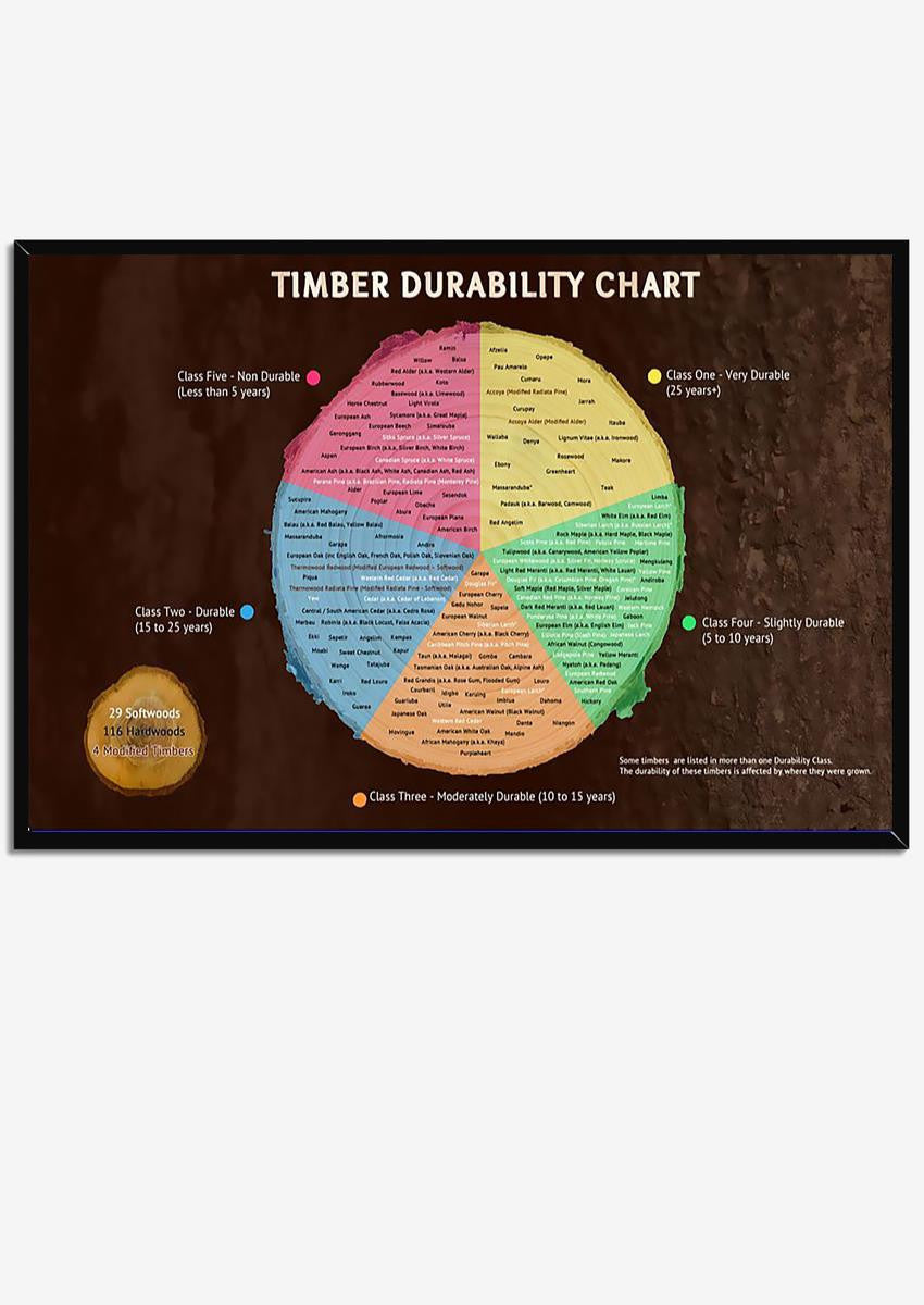 Timber Durability Circle Chart Wood Knowledge Wall Art Gift For Carpenter Woodworking Framed Prints, Canvas