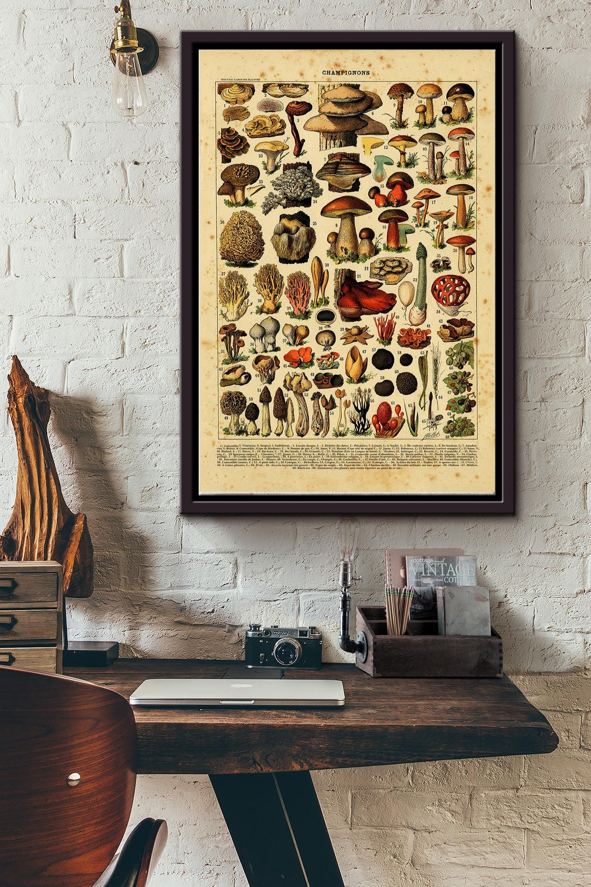 Types Of Champignons Poster - Nature Wall Art - Gift For Camper Mushroom Hunter Biologist Framed Matte Canvas Framed Prints, Canvas