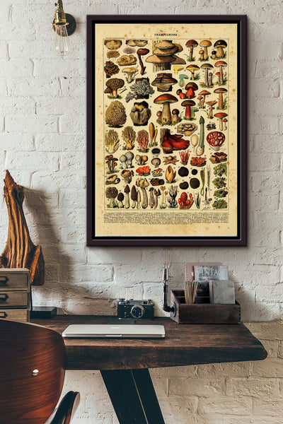 Types Of Champignons Poster - Nature Wall Art - Gift For Camper Mushroom Hunter Biologist Framed Matte Canvas Framed Prints, Canvas