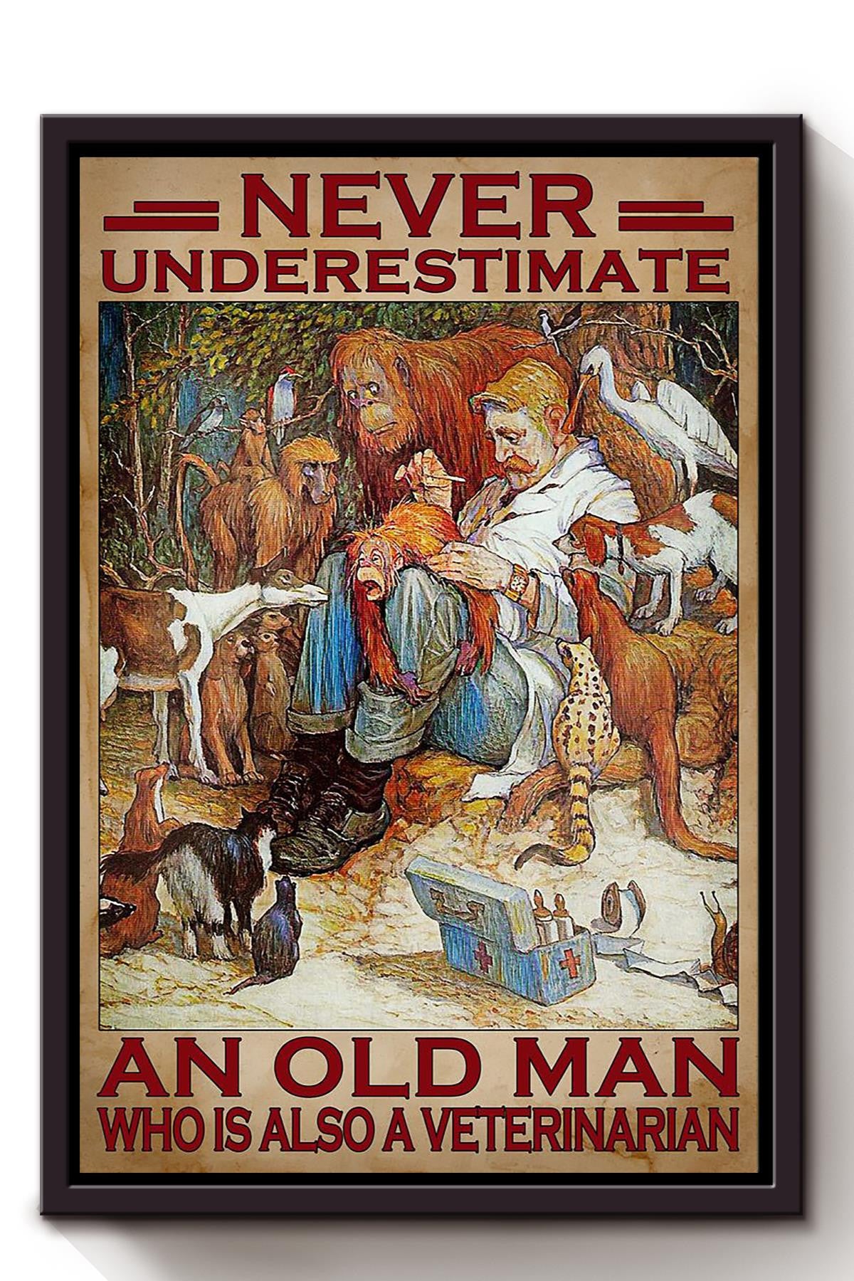 Never Underestimate Veterinarian Old Man Gift For Grandfather Veteran Framed Canvas