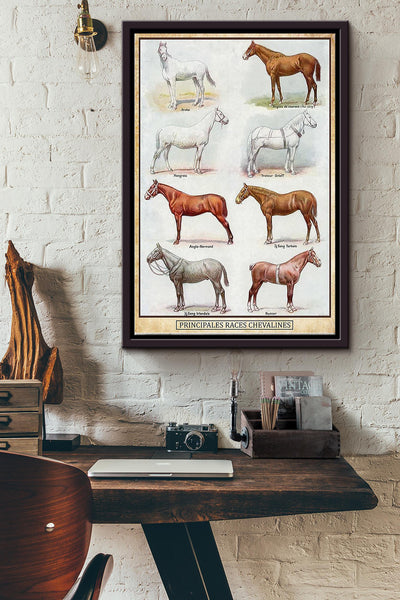 PRINCIPALES RACES CHEVALINES POSTER Framed Matte Canvas