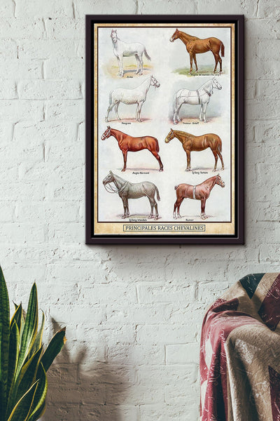 PRINCIPALES RACES CHEVALINES POSTER Framed Matte Canvas