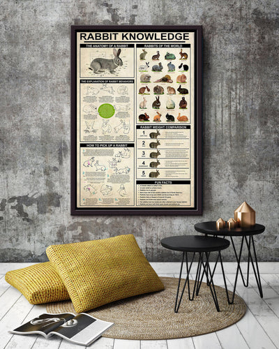 Rabbit Basic Information Animal Knowledge Wall Art For Homeschool Home Decor Framed Canvas Framed Prints, Canvas