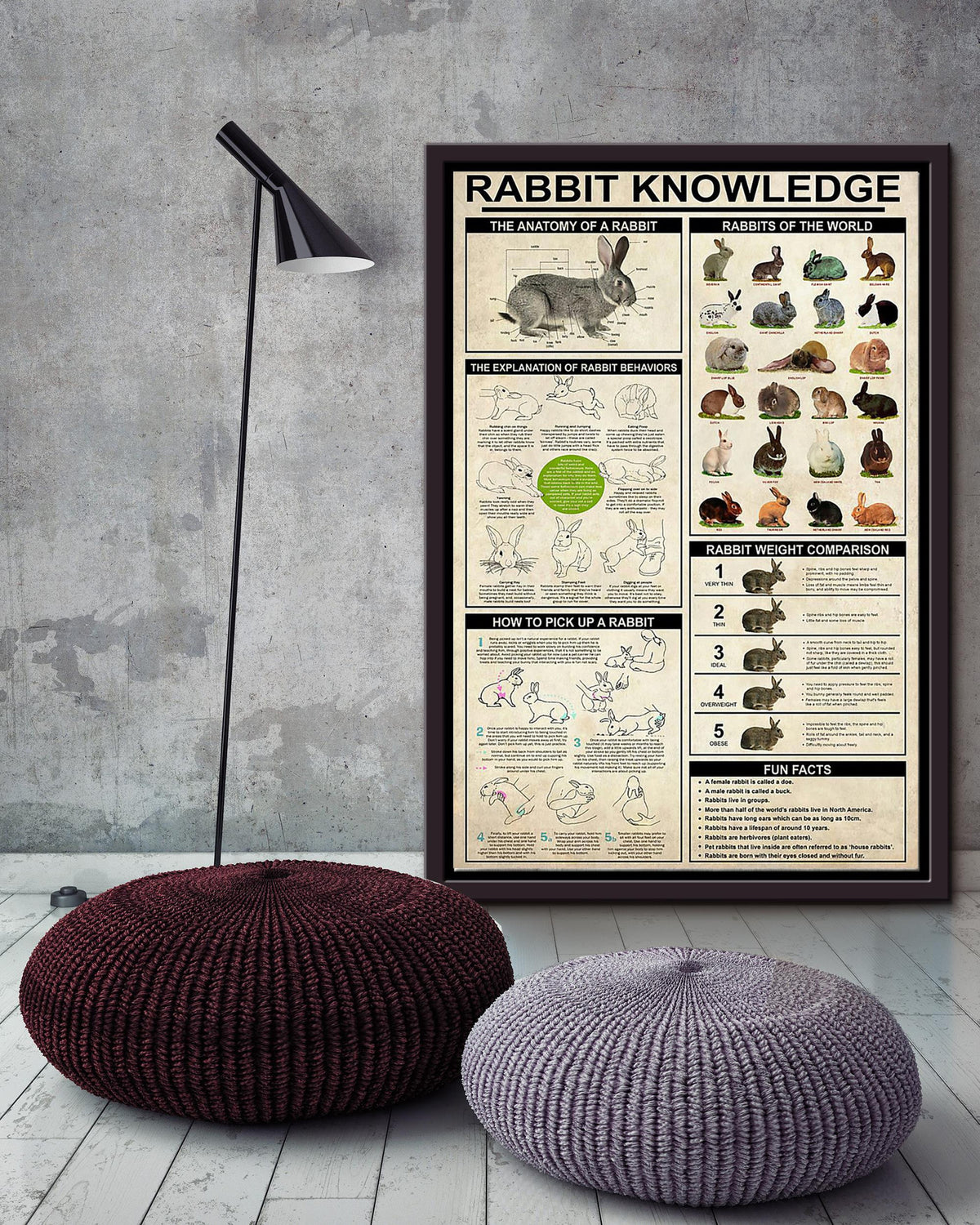 Rabbit Basic Information Animal Knowledge Wall Art For Homeschool Home Decor Framed Canvas Framed Prints, Canvas